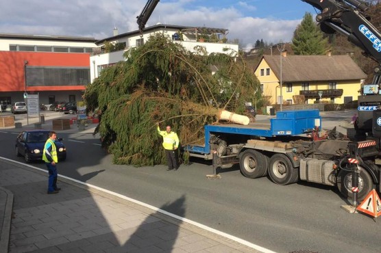 So schaut unser Weihnachtsbaum in Moosburg und Tigring aus.